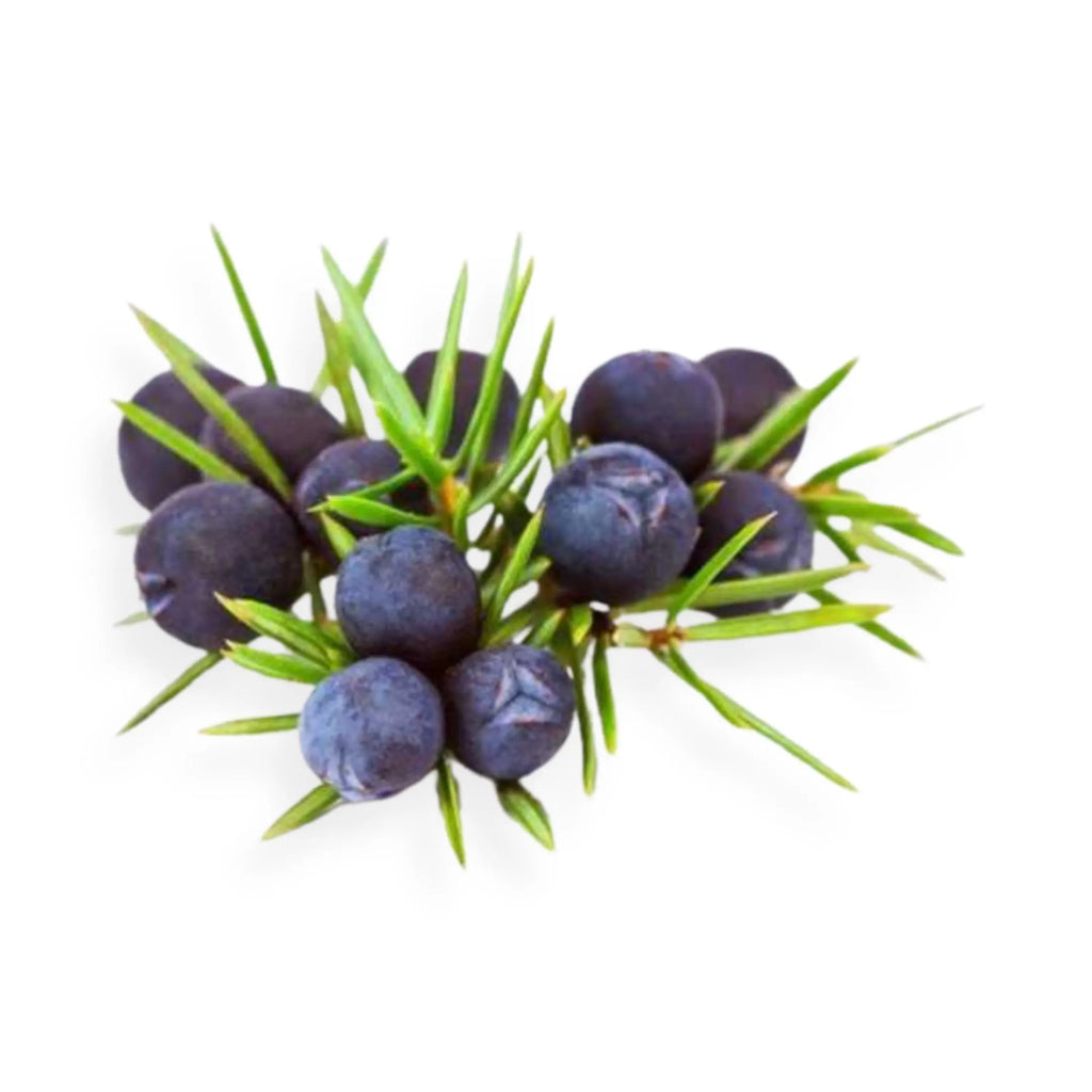 Essential Oil -Juniper Berry (Juniperus Communis L) 500 ml