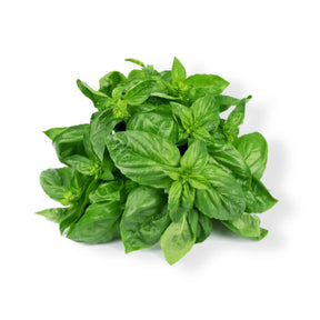 Essential Oil - Marjoram (Thymus Mastichina)