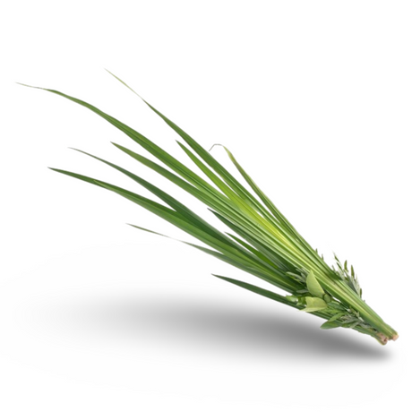 Essential Oil - Palmarosa (Cymbopogon Martinii Var Motia) 500 ml