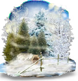 Essential Oil - Premium Collection - Winter