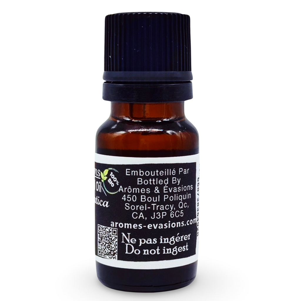 Essential Oil -Ravensara (Ravensara Aromatica)