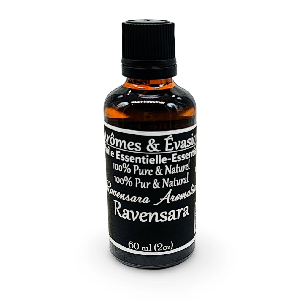 Essential Oil -Ravensara (Ravensara Aromatica) 60 ml