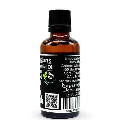 Essential Oil - Sweet Birch (Betula Lenta)