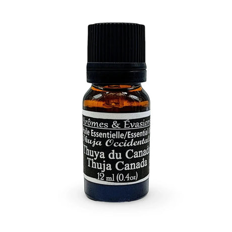 Essential Oil - Thuja Canada (Thuja Occidentalis) 12 ml