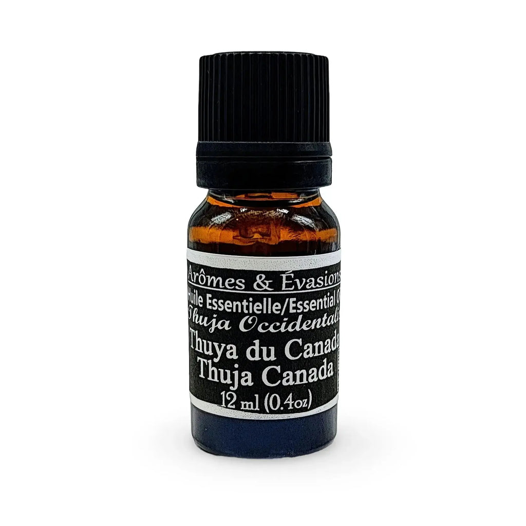 Essential Oil - Thuja Canada (Thuja Occidentalis) 12 ml