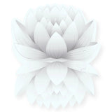Essential Oil - White Lotus Absolute (Nelumbo Nucifera) 500 ml