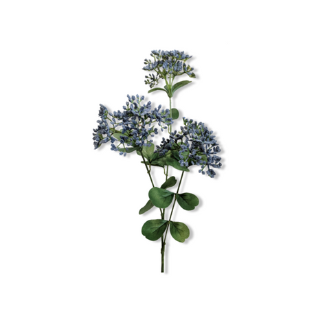 Essential Oil - Blue Yarrow (Achillea Millefolium) 500 ml