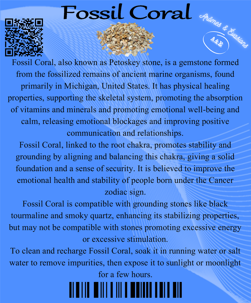 Descriptive Cards - Precious Stones & Crystals - Fossil Coral