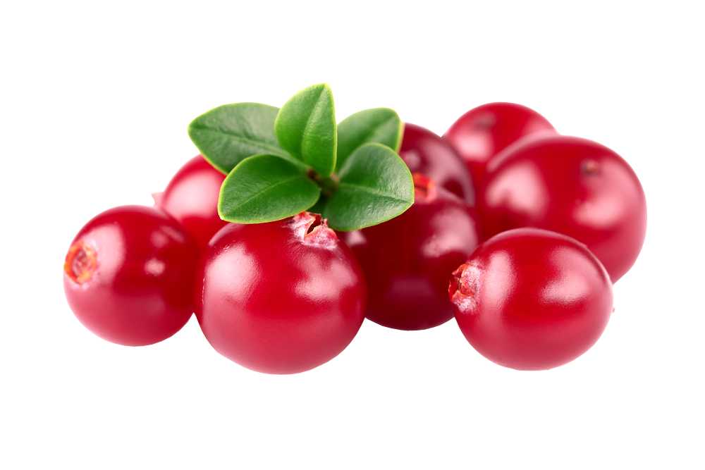 Fragrance Oil -Frosted Cranberry 500 ml