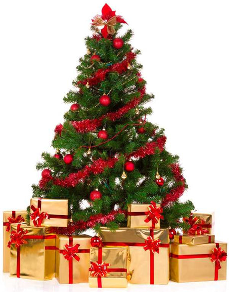 Fragrance Oil - Old Fashioned Christmas 500 ml