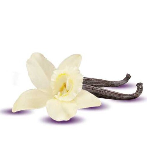 Fragrance Oil -Vanilla (Non-Darkening for Candles) 500ml