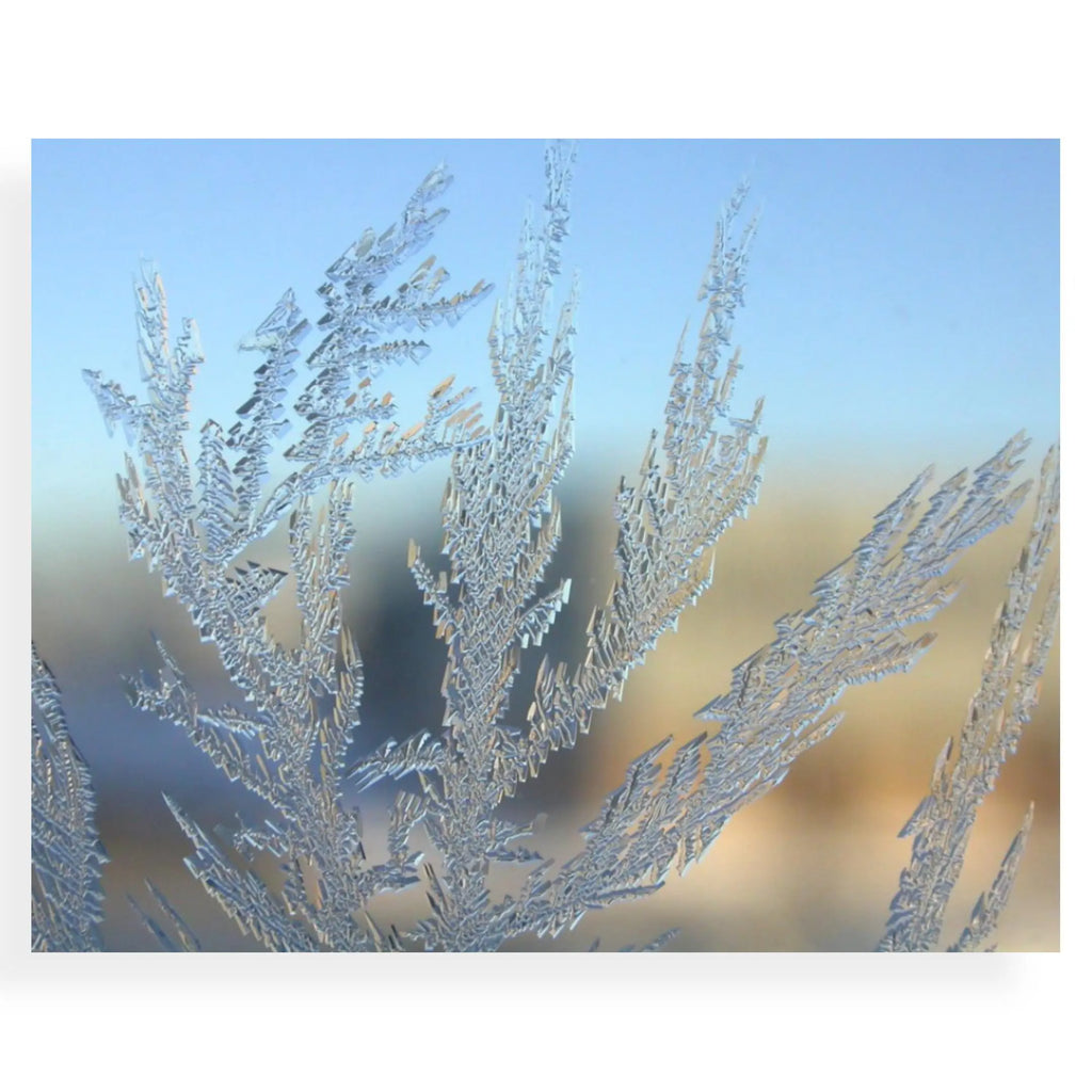 Fragrance Oil -Alpine Frost