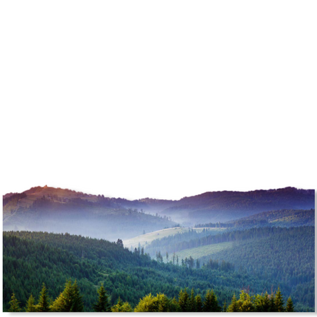 Fragrance Oil - Mountain Freshness 500 ml