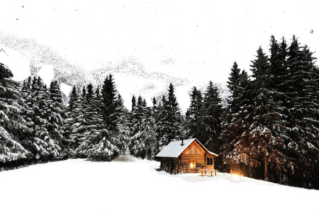 Fragrance Oil -Night at the Shack 500 ml