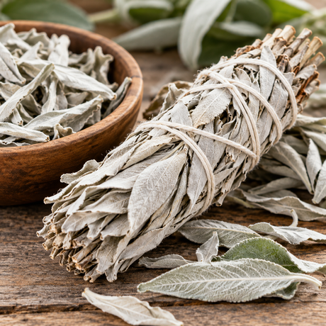 Fragrance Oil - White Sage