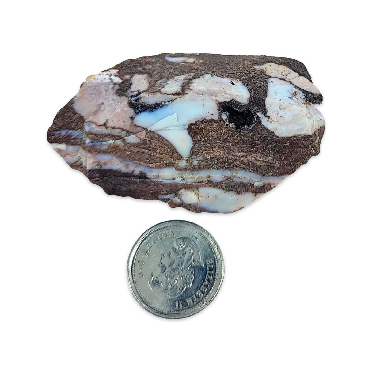 Geode -Jasper -Zebra -Brazil
