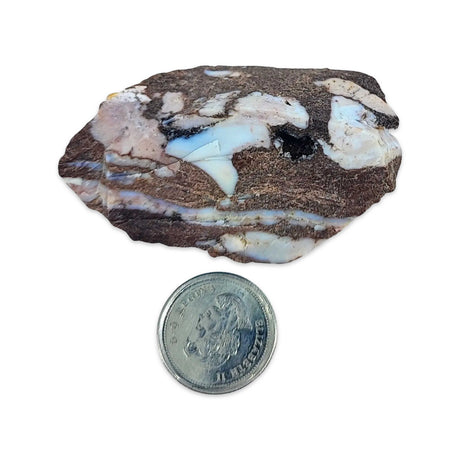 Geode -Jasper -Zebra -Brazil