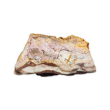 Geode -Jasper -Zebra -Brazil