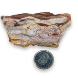 Geode -Jasper -Zebra -Brazil