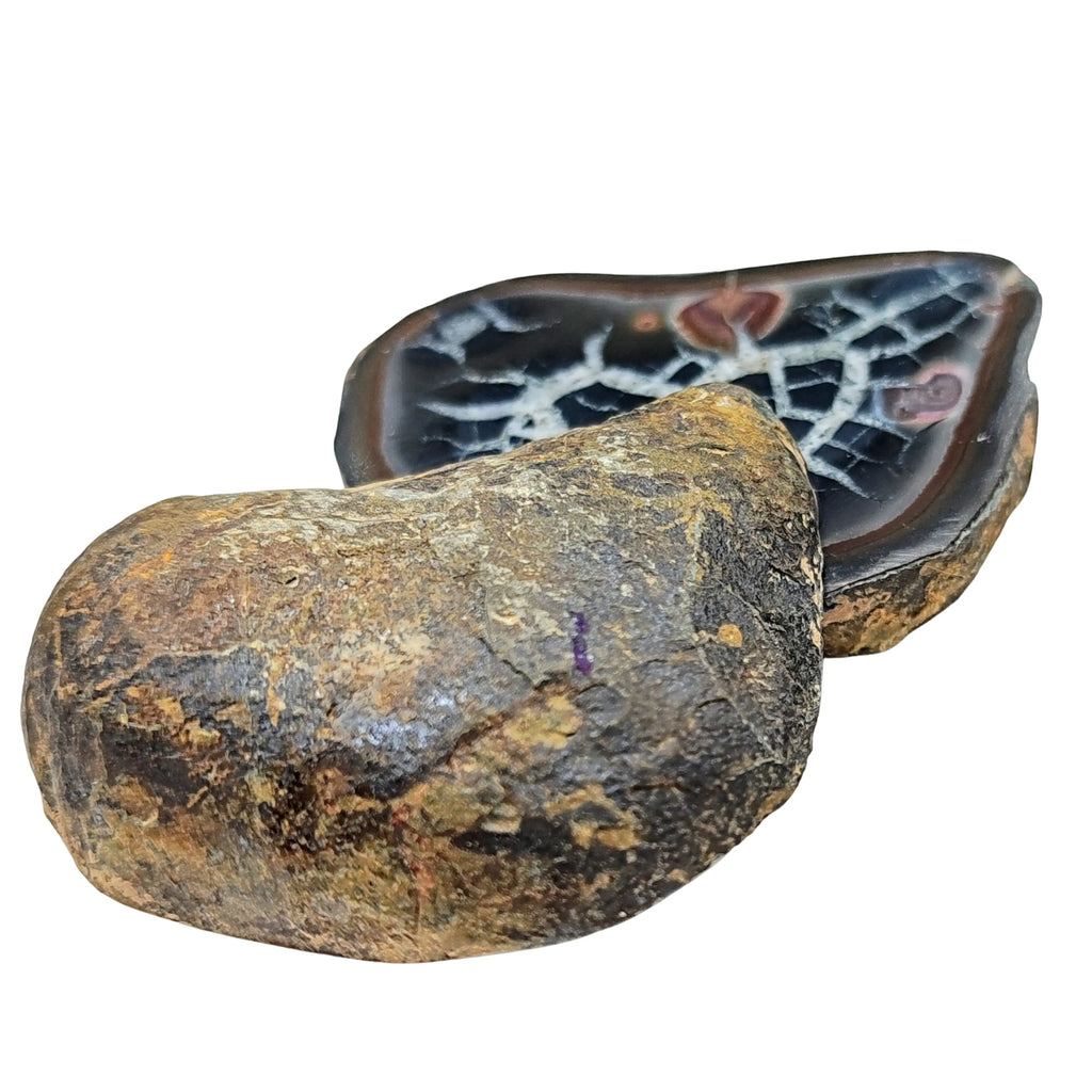 Geode -Septarian Nodule (Dragonstone)