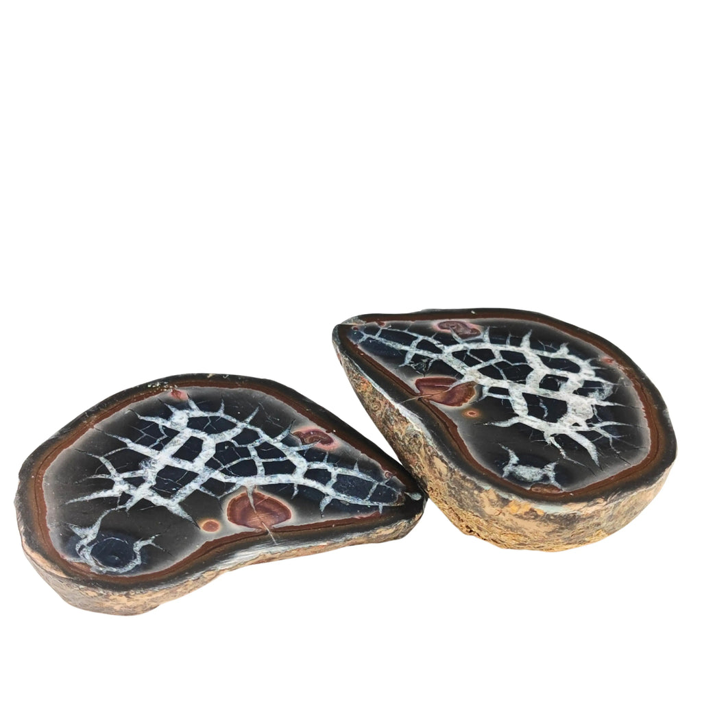 Geode - Septarian Nodule (Dragonstone)