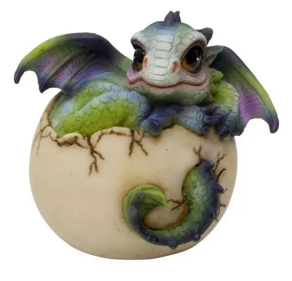 Home Decor -Ceramic Statut -Baby Dragon -Curious Hatching Baby