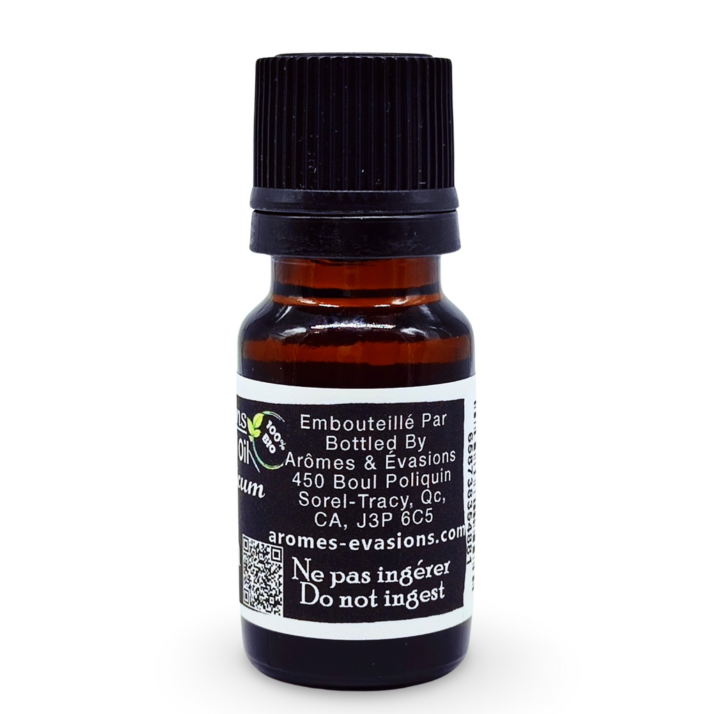 Essential Oil -Helichrysum/Immortelle (Helichrysum Italicum)