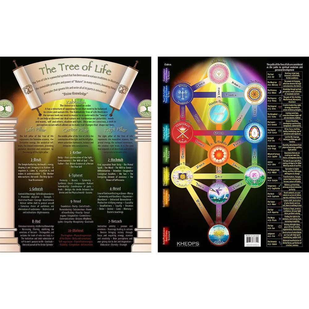 Laminated Descriptive Charts Tree of Life Arômes & Évasions