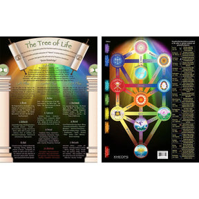Laminated Descriptive Charts - Tree of Life