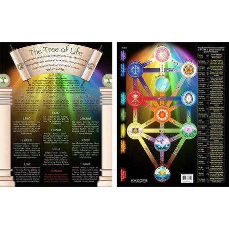 Laminated Descriptive Charts - Tree of Life