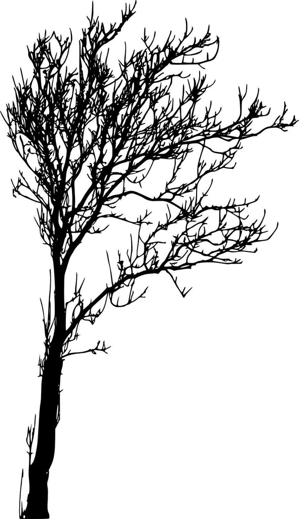 Room & Linen Mists -Birchwood Pine