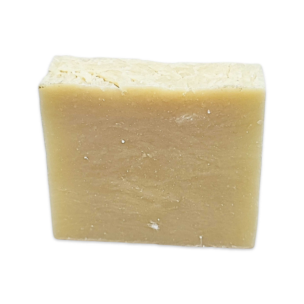 Shampoo Bar & Soap -2 in 1 -Cold Process -Bugs Fly Away