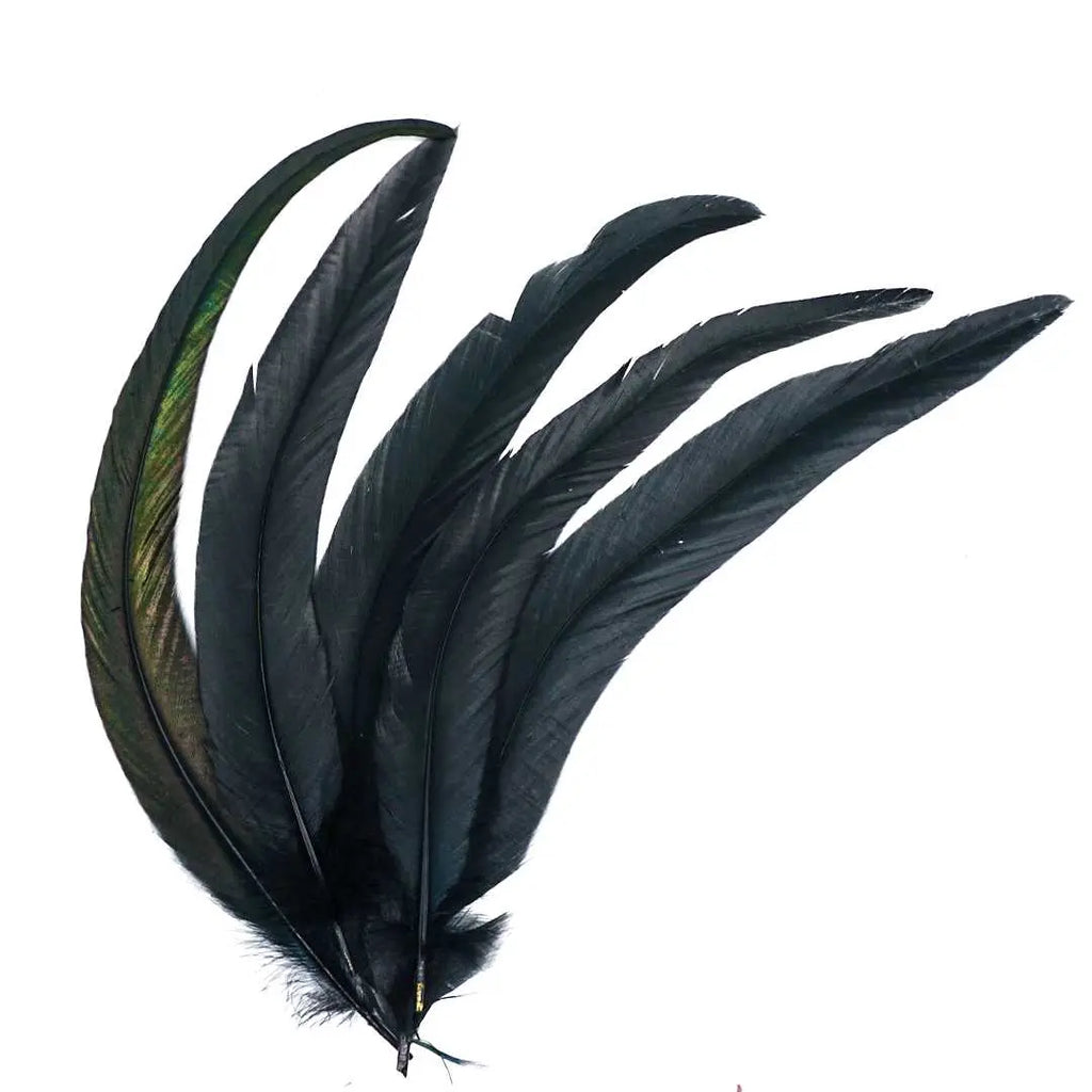 Smudging -Feather -Black Crow -Feather -Aromes Evasions 