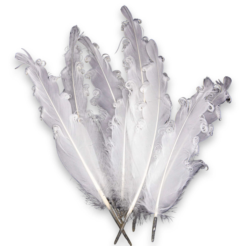 Smudging -Feather -Goose