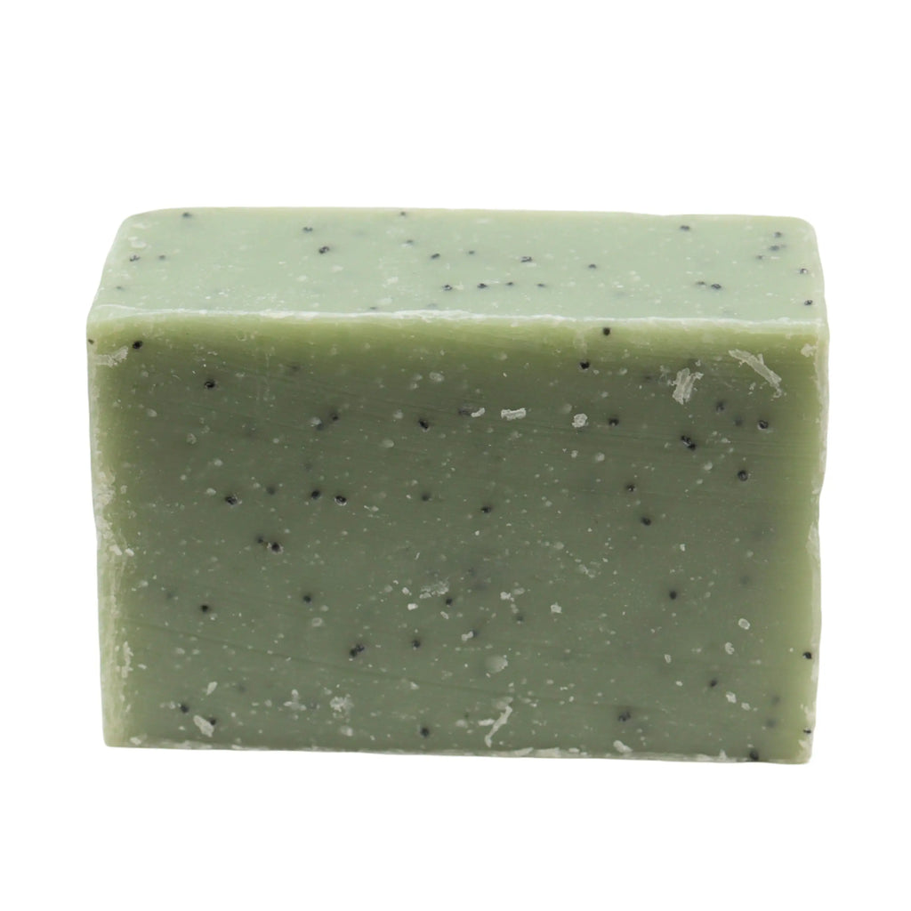 Soap Bar - Cold Process - Evergreen - 5oz