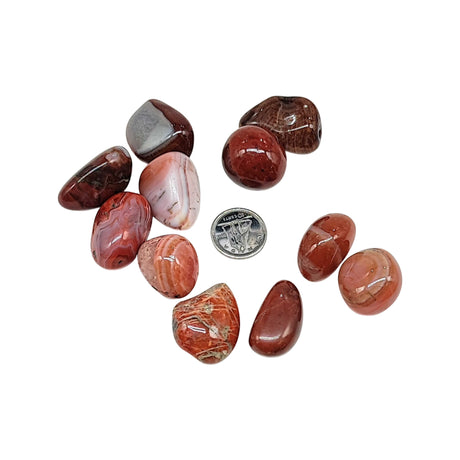 Stone - Carnelian - Tumbled - Medium