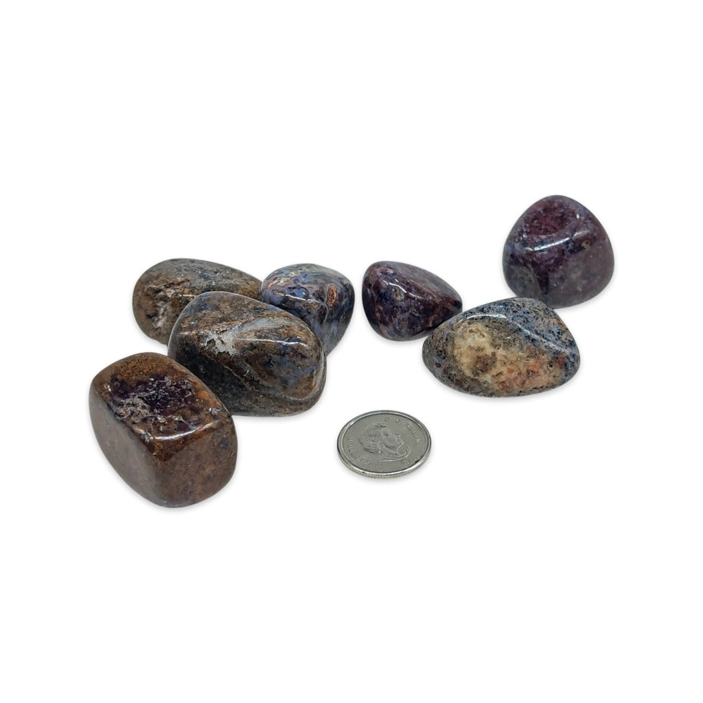 Stone -Pietersite -Tumbled