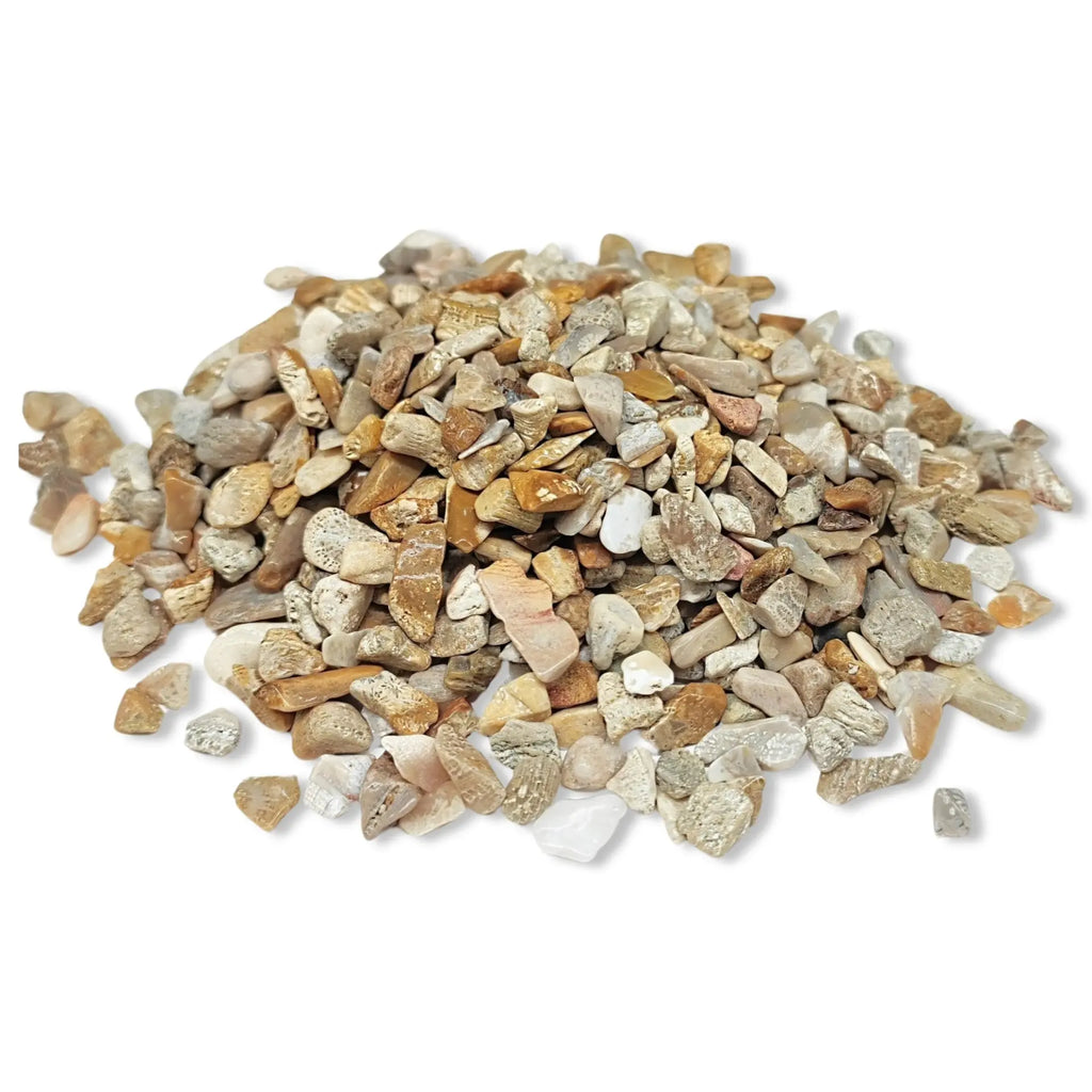 Stone -Rough Chips -Fossil Coral -6 to 8mm