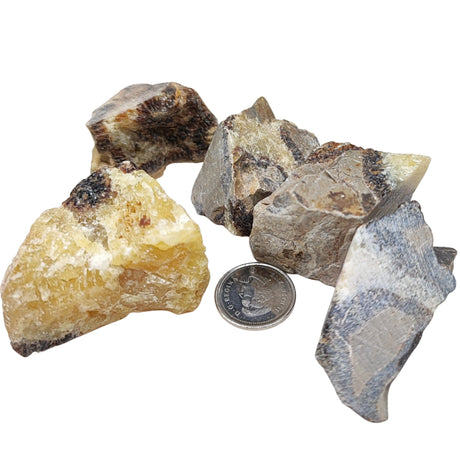 Stone -Septarian -Rough