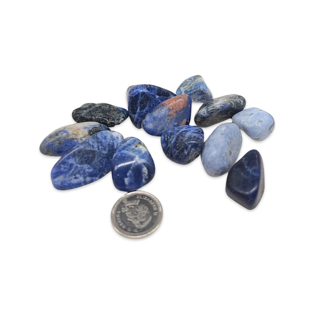 Stone -Sodalite -Tumbled -Extra Small
