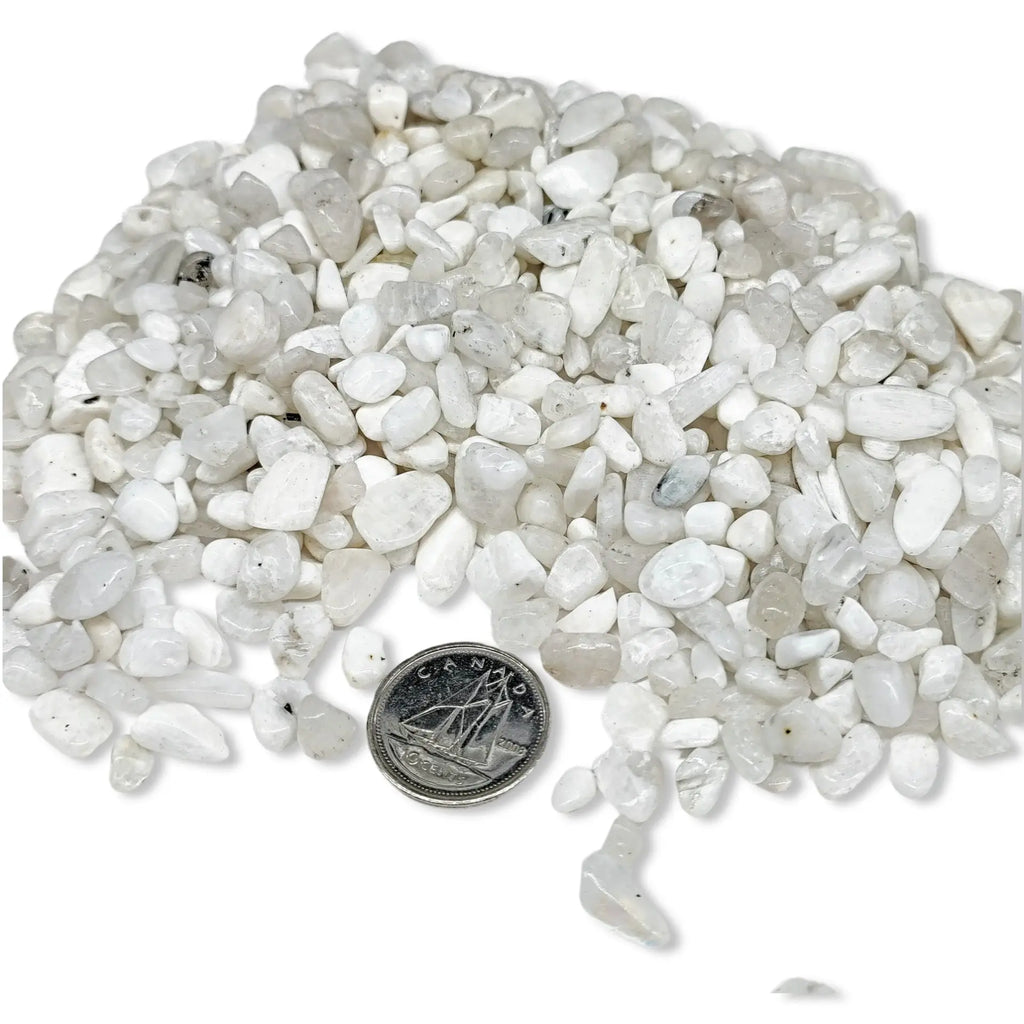 Stone -Tumbled Chips -Moonstone -5 to 6mm