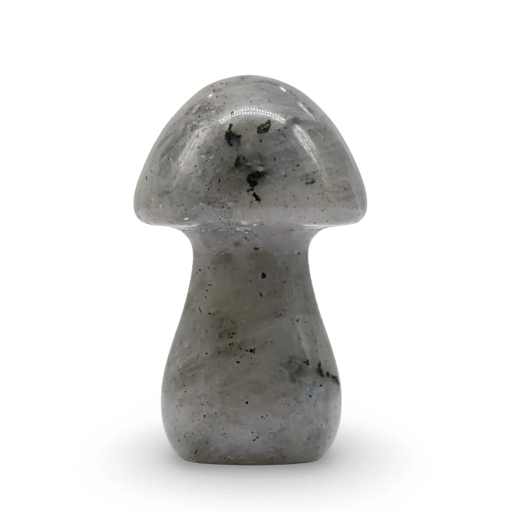 Stone - Labradorite - Sculpture - Mushroom