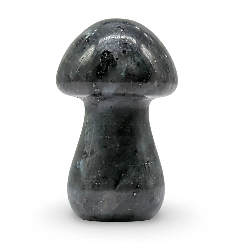 Stone - Labradorite - Sculpture - Mushroom