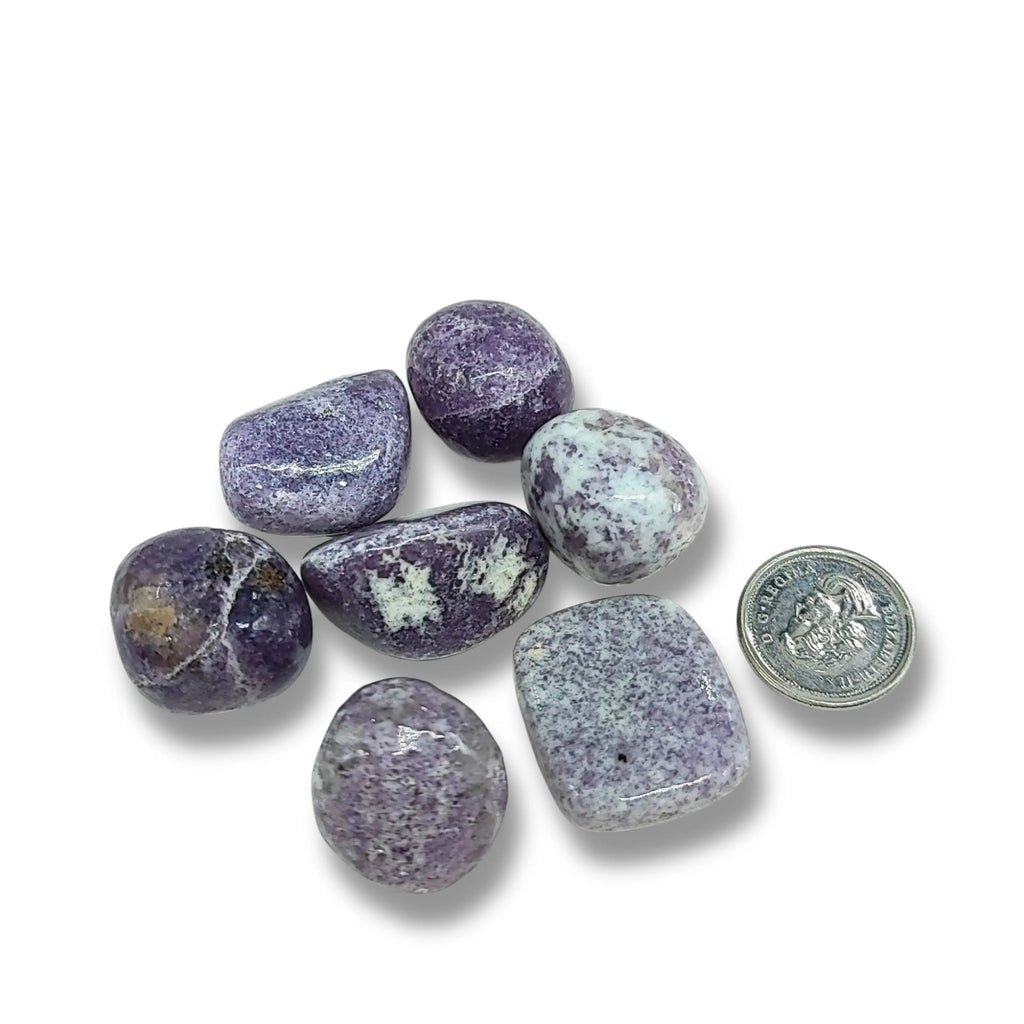 Stone -Lepidolite -Tumbled