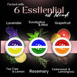 Zen & Hearth Shower Steamers Gift Set for Women – 6 Pack Natural Aromatherapy Shower Bombs for Self-Care and Relaxation