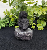 Home Decor - Shungite Sculpture - Owl Facing Sideways (2.25x1.75x2.25")
