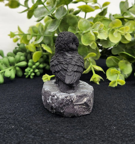 Home Decor - Shungite Sculpture - Owl Facing Sideways (2.25x1.75x2.25")