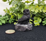 Home Decor - Shungite Sculpture - Owl Facing Sideways (2.25x1.75x2.25")