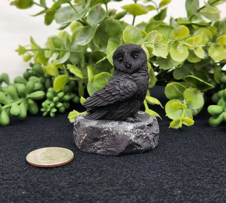 Home Decor - Shungite Sculpture - Owl Facing Sideways (2.25x1.75x2.25")
