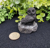 Home Decor - Shungite Sculpture - Owl Facing Sideways (2.25x1.75x2.25")
